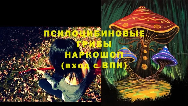 бутират Магас