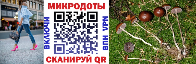 Псилоцибиновые грибы MAGIC MUSHROOMS  Зуевка 